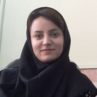 الناز طیبی