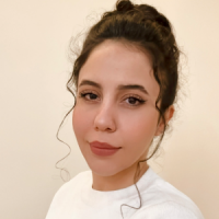 Elaheh Absari